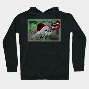 Seasons Greetings Hoodie